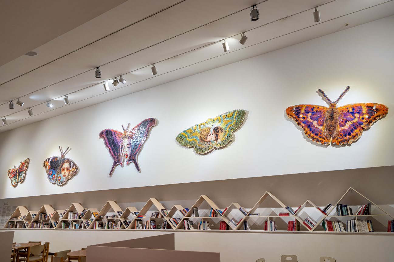 Butterflies installation